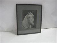 Antique Horse Print W/ Original Frame See Info