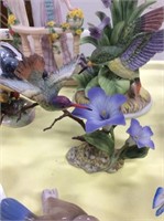 Violet crowned hummingbird