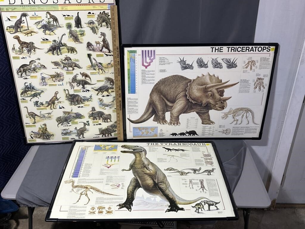 Three. Dinosaur posters.
