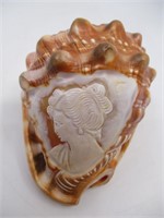 Bullmouth Red Helmet Cameo Carved Large Seashell