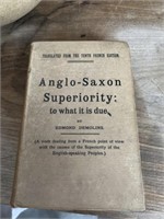 Anglo-Saxton Superiority book