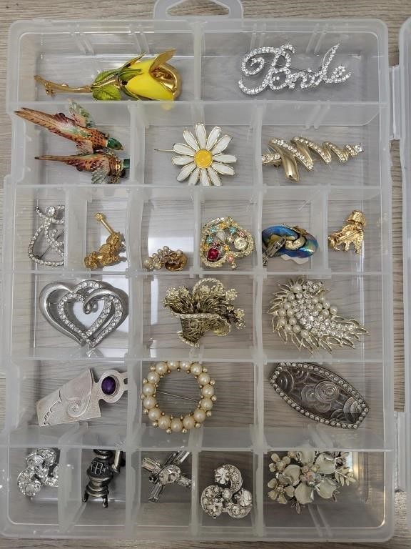 Case of Brooches