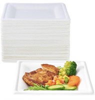 100PC 10IN ECO SQUARE DISPOSABLE DINNER PLATES