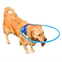 Camidy Blind Dog Harness, Blind Dog Halo Collar wi