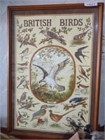British birds framed print