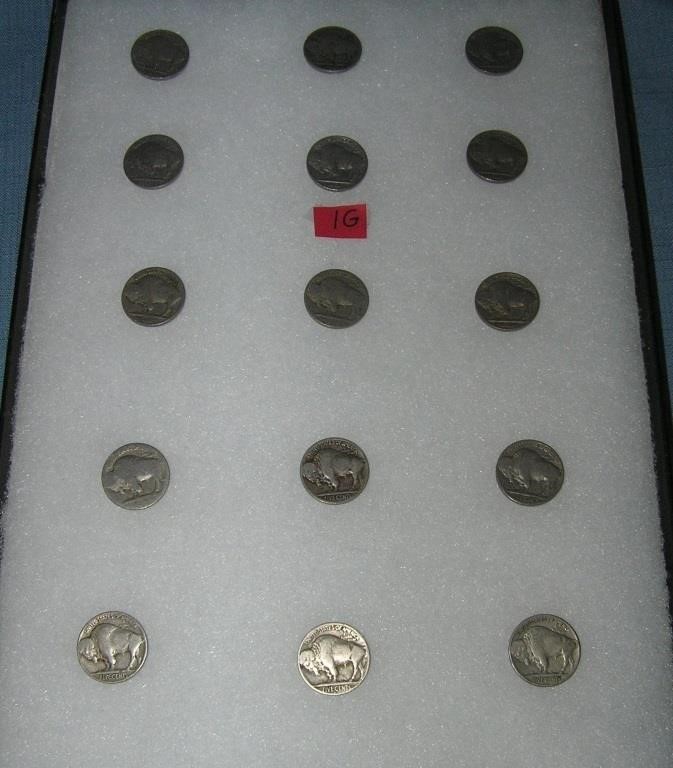 Group of early Buffalo nickles