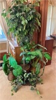 Silk Fig Topiary & Other large leave silk plants
