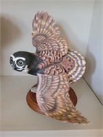 The Spectacled Owl Statue