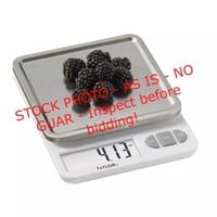 Taylor Stainless Steel Digital Kitchen Scale