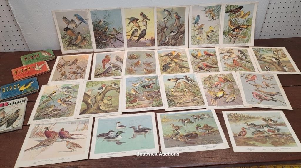 Set 23 Alan Brooks bird prints (Nice) & 4 bird