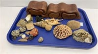 Puzzle box, vintage rocks, and shells