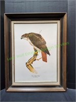 Red-Tailed Hawk, Tom Dunnington Print