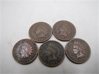 Lot of 5 1905 Indian Head Pennies