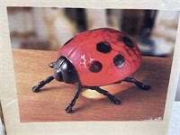 Ladybug Light