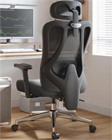 Hbada P3 Ergonnomic Office Chair with 2D Adjustab