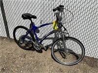 Blue Del Sol Bike