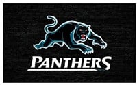 Carolina Panthers 3x5 NEW Flag