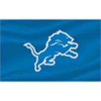Detroit Lions 3x5 Flag NEW
