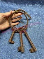Old rusty keys