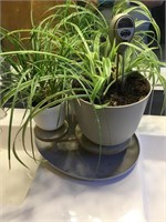 Bathroom Lot OF 3 Plants On Stand