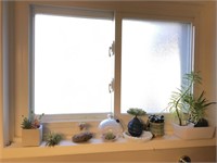 Bathroom Window Shelf Of Succulents