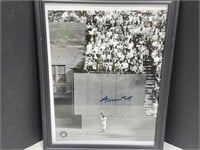 #24 Autographed Picture  Willie Mays NO COA