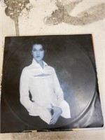 Celine Dion Vinyl Record