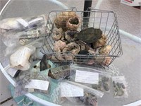 Assorted Marked Identified Rock Specimens In Yard