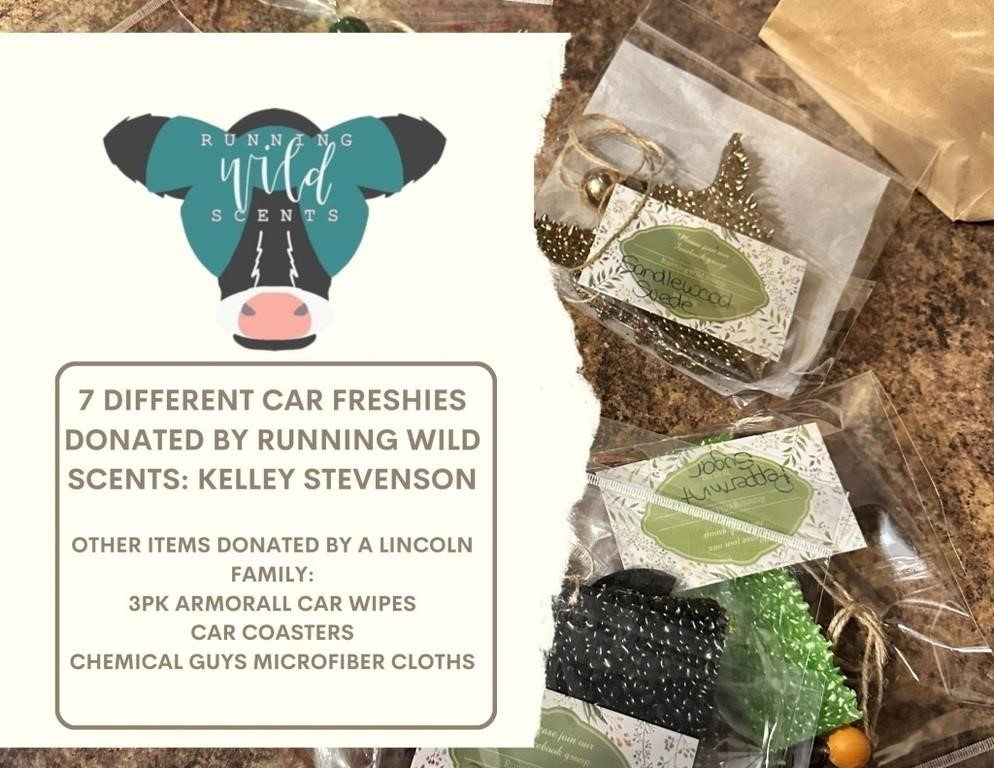 Car Freshies by Kelley Stevenson & Other Items!