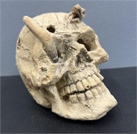 Ceramic Skull with Snake, Aquis
