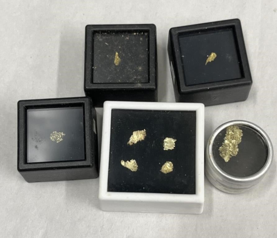 Gold Nugget Lot, from Mineral Collection