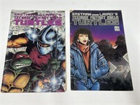 Teenage Mutant Ninja Turtles Comics 1987 No.10 &