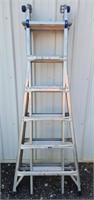 Warner 25' Folding Extension Ladder