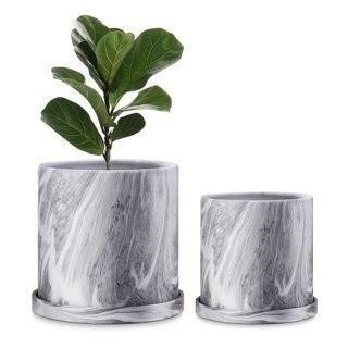 FairyLavie Cement Pots  Set of 2  Gray