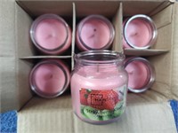 6 Strawberry Kiwi Candles in Jar - 3" - 6 NIB