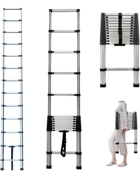 Telescoping Extension Ladder