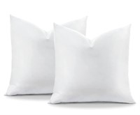 OTOSTAR Pack of 2 Down and Feather Throw Pillow