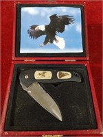 Eagle Fury 440 Stainless Knife in Display Case