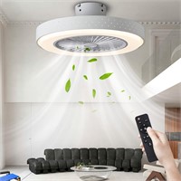ZSAGKJ 20 Modern Ceiling Fan w/ Light