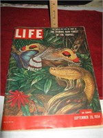 1954 Life Magazine