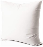 EDOW Luxury Throw Pillow Insert, 24x24, White