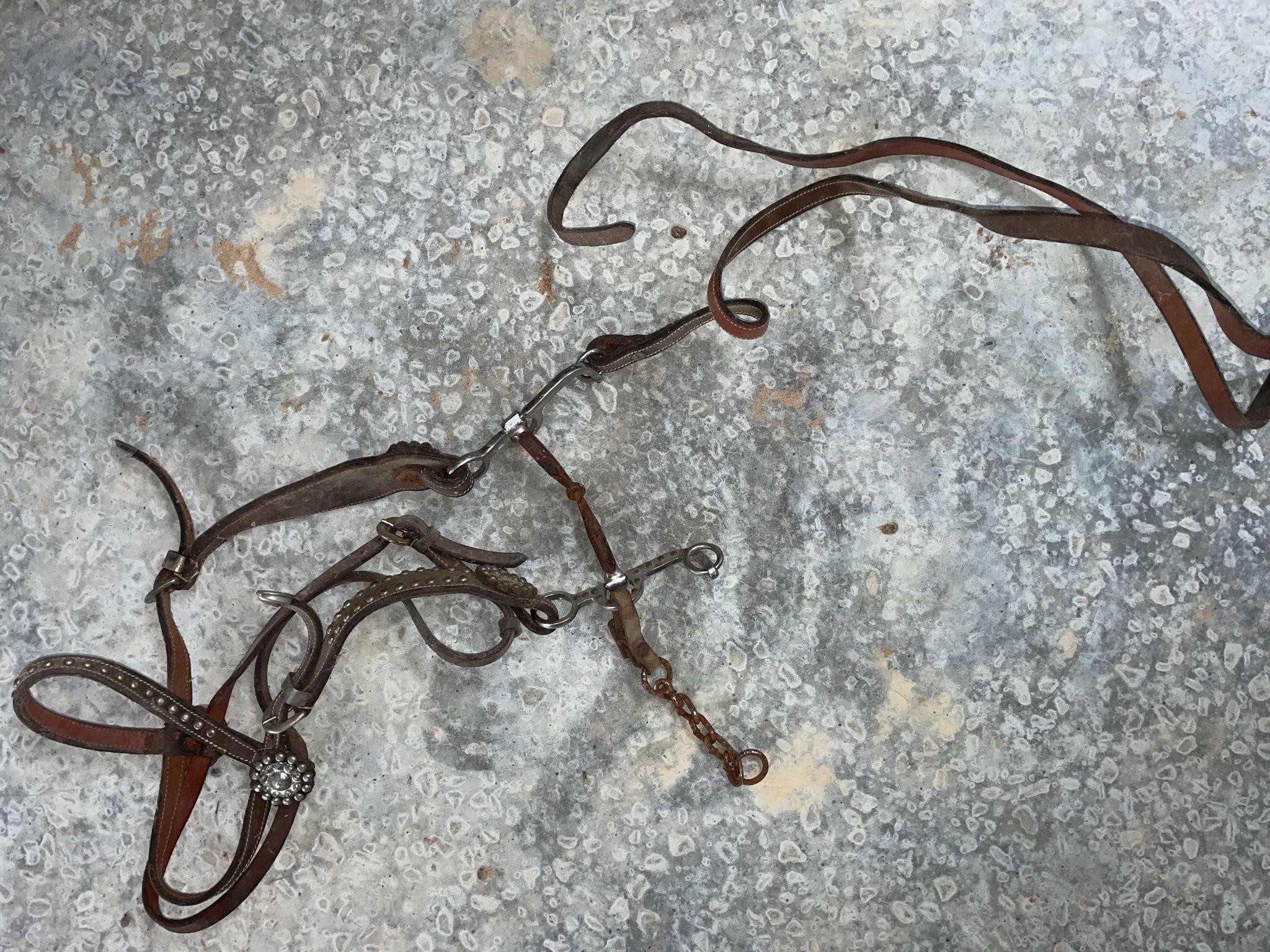 Bridle (very dry) - being sold for bit & hardware