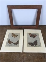 2 Butterfly Prints & Wooden Frame