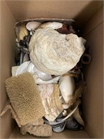 Box full of seashells art hobby craft