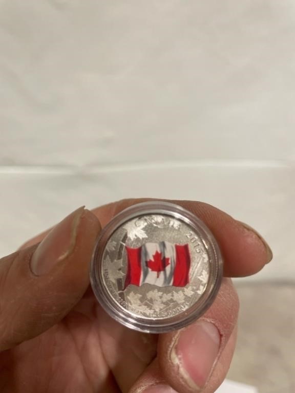 Canadian flag $25 face value find silver coin