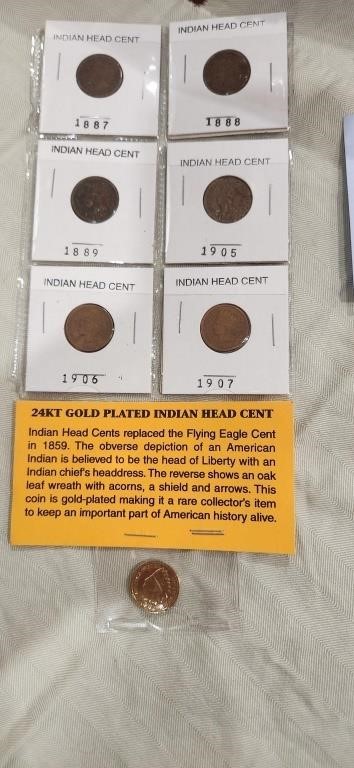 Indian Head Cent Coin Lot