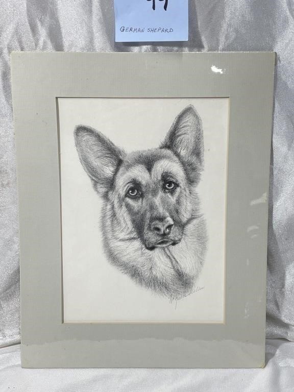 German Shepard matted charcoal drawing by