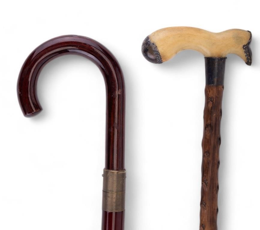 Antique Blackthorn Cane and Sword Cane