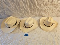 Cowboy Hats (3)