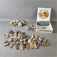 Collection of Neolithic Flint Rock & Fossils from
